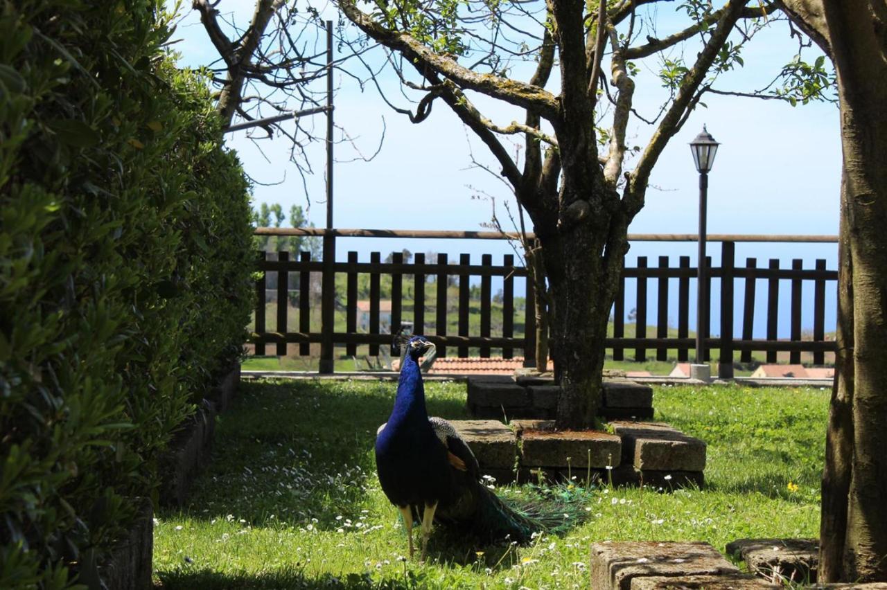 Agriturismo La Baita Agerola Dış mekan fotoğraf