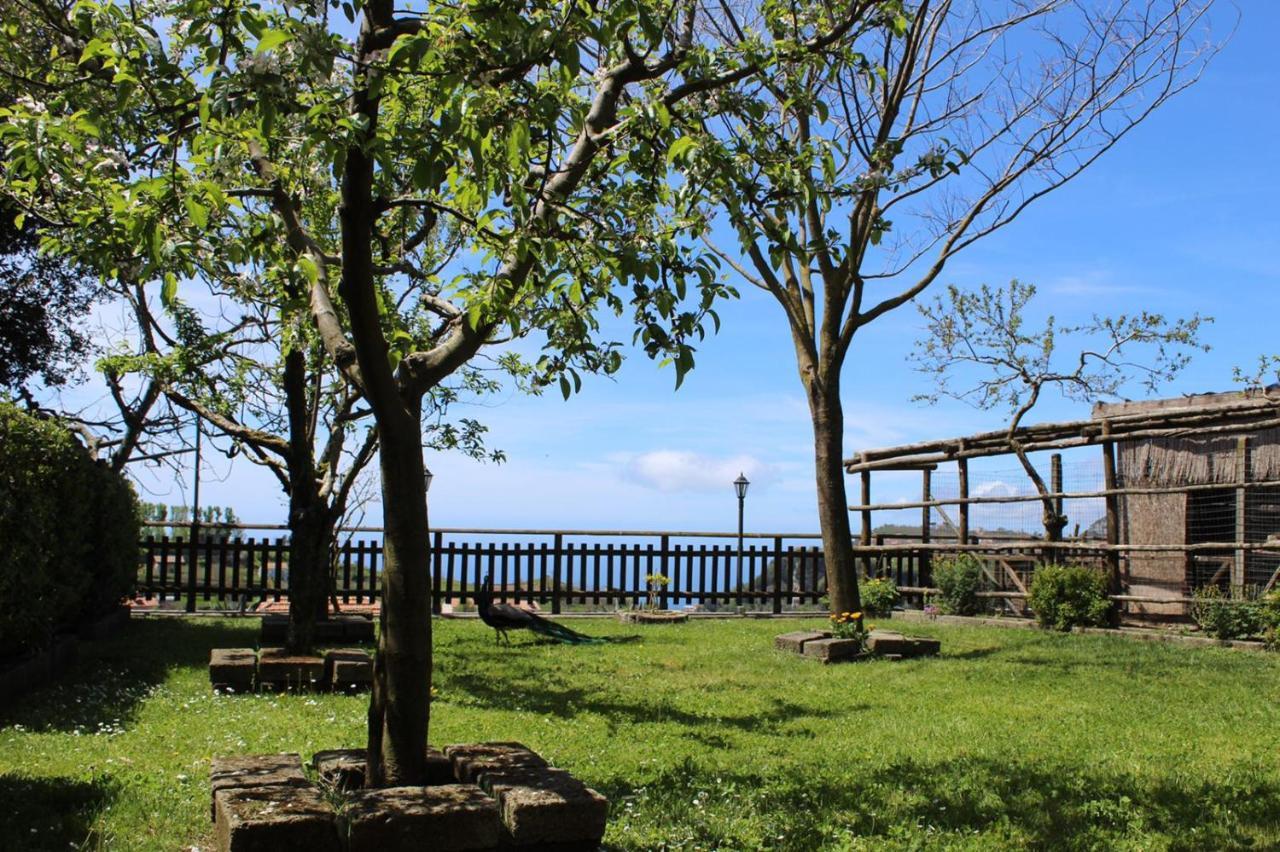 Agriturismo La Baita Agerola Dış mekan fotoğraf