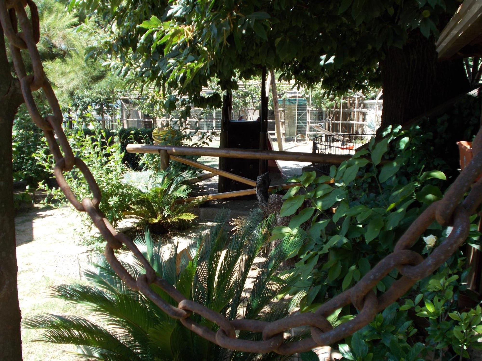 Agriturismo La Baita Agerola Dış mekan fotoğraf